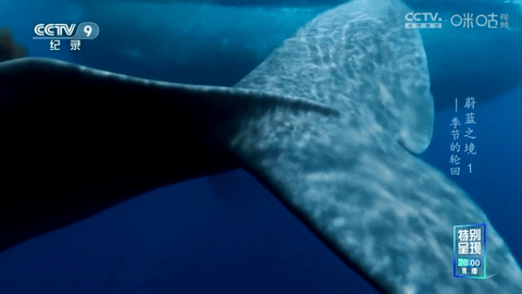 七星直播2026最新版