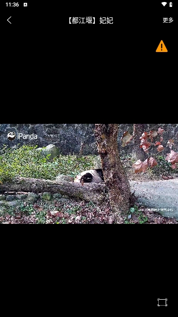 三维地球实景地图最新版