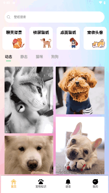 桌面宠物壁纸安卓版