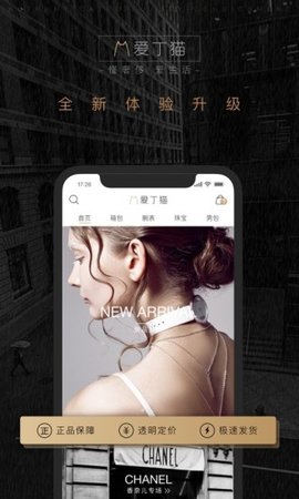 爱丁猫官方版