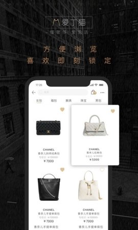 爱丁猫官方版