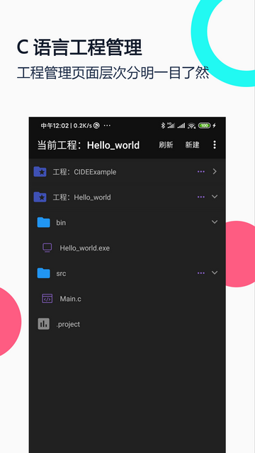 C语言编译器IDE官方版