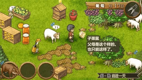 欢迎来到绵羊村中文版