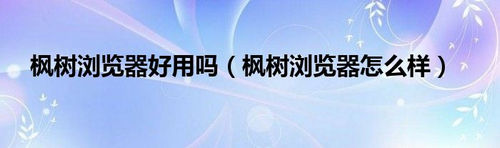 枫树浏览器怎么样?枫树浏览器如何使用