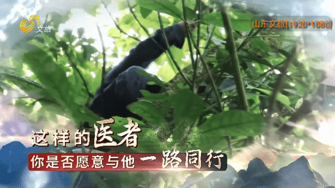 免费电视高清免费版
