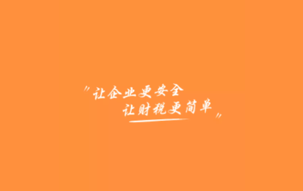 查税宝2024最新版