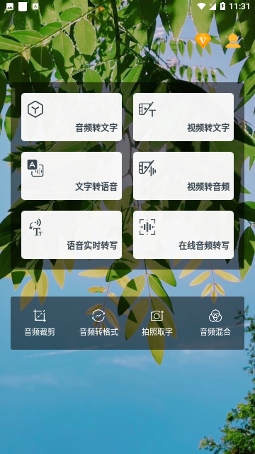 音频转文字助手会员版