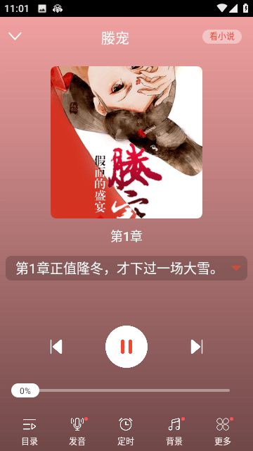听小说免费版