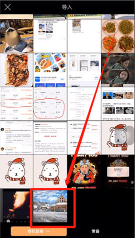 pixaloop免费中文版app