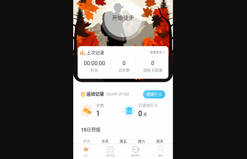 素雅计步手机版