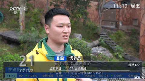 云顶电视直播2026最新版