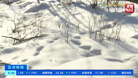 小毒直播2024最新版