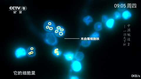 小乐TV2026最新版