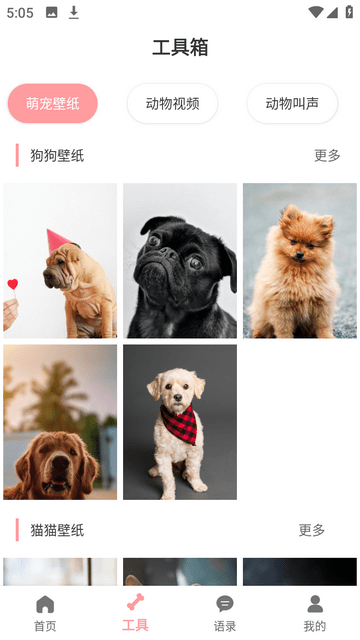 宠物翻译器官方版