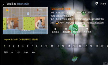 苹果影视TV电视盒子版