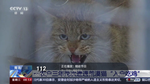 高清TV高清免费版
