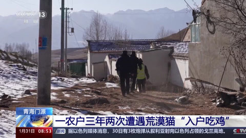 高清TV高清免费版