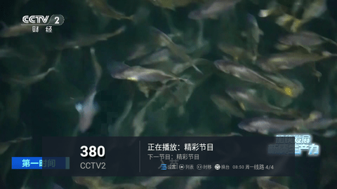 糖意TV电视盒子版