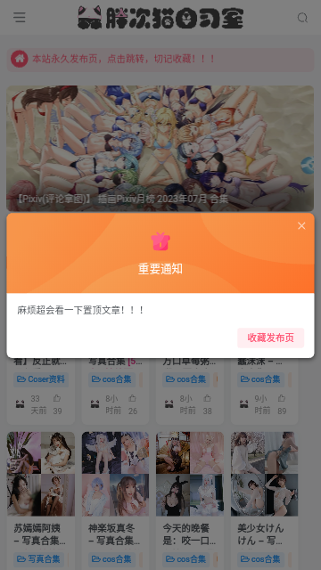 胖次猫自习室