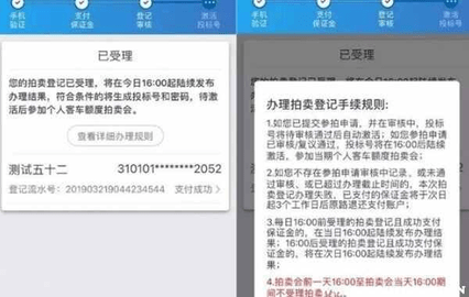 上海国拍2024最新版
