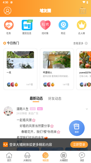 大埔网客户端