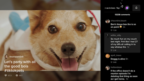 TikTok TV2024最新版