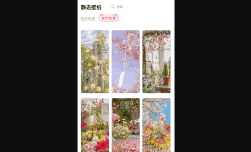 多啦壁纸最新版