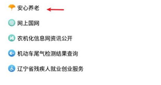 辽宁政务服务网官方版