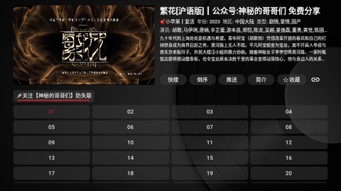 小猫咪TV去广告版