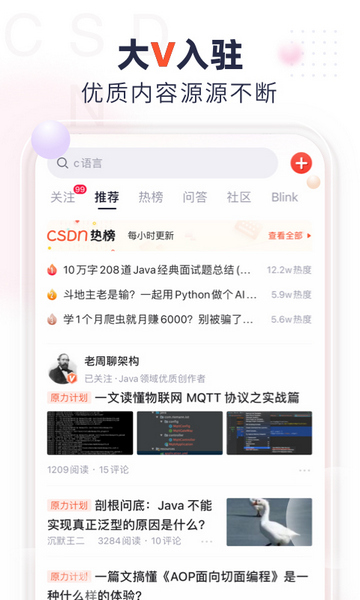 CSDN开发者博客平台