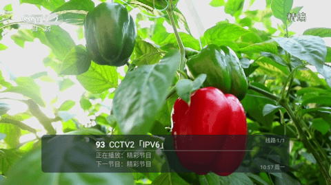 龙伊影视TV版