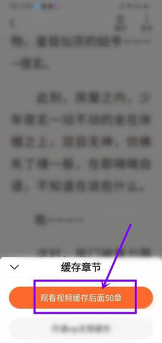 读书阁安卓版