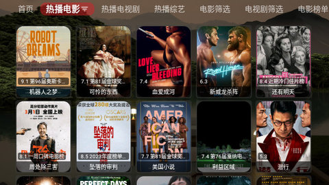 斧头帮黑盒TV版
