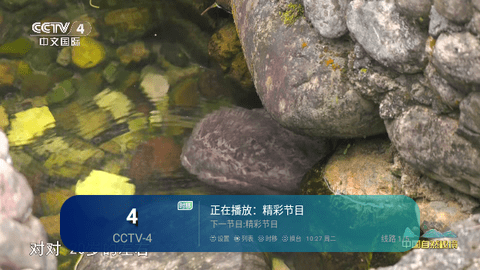 佬唐电视TV电视版
