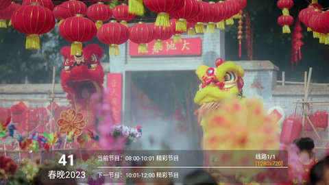 西夏TVP官方版