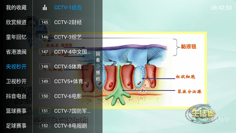 天水麻辣烫美食电视直播