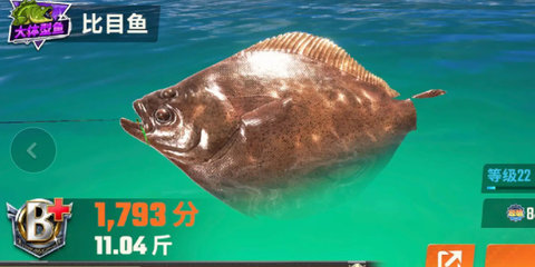 欢乐钓鱼大师鱼类图鉴大全 所有稀有鱼图鉴最新