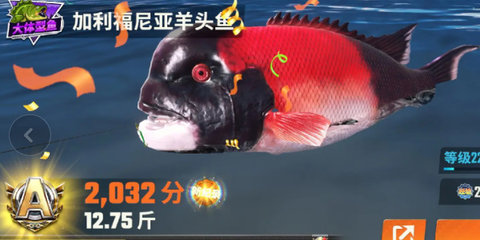 欢乐钓鱼大师鱼类图鉴大全 所有稀有鱼图鉴最新
