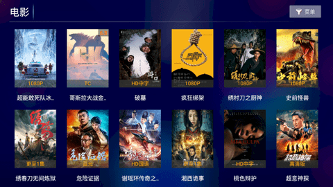 流星影院TV版
