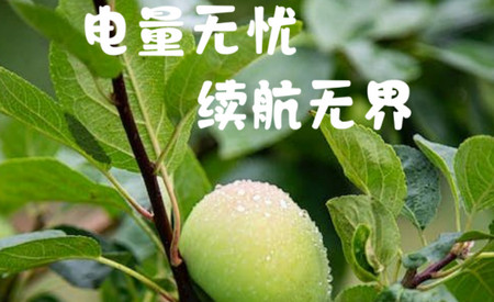 青苹果电池助手软件