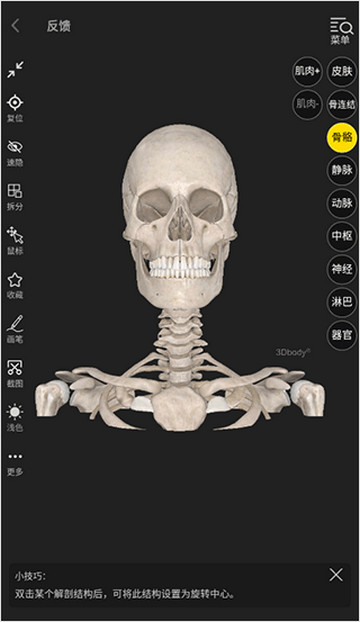 3dbody解剖图手机版