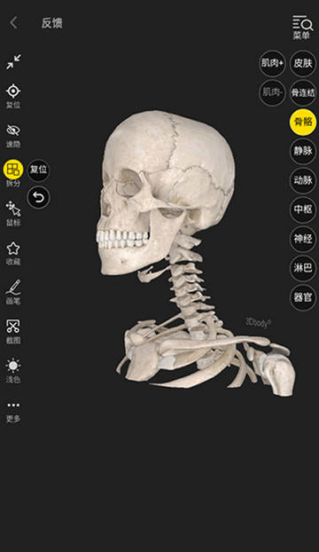 3dbody解剖图手机版