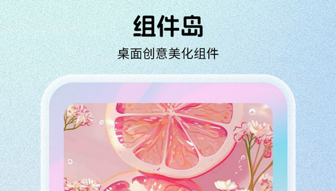 组件岛2024会员版