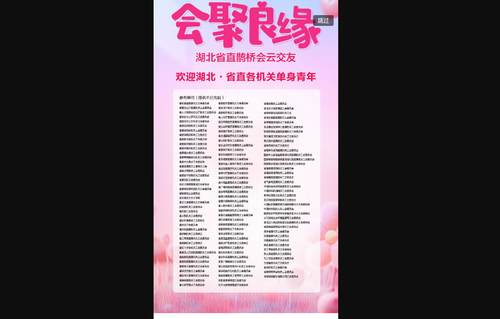 缘企政企婚恋最新版