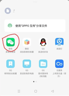 浙政钉2025最新版