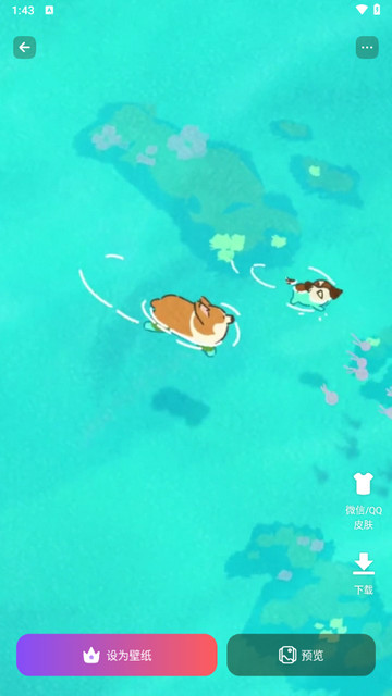 一糖壁纸最新版app