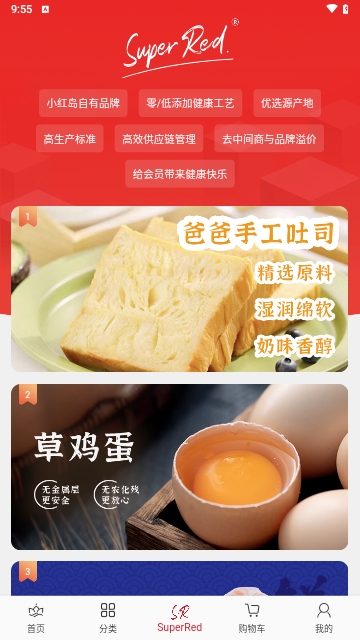 小红岛安卓版