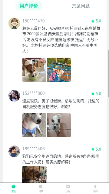 宠贝贝宠物托运平台最新版