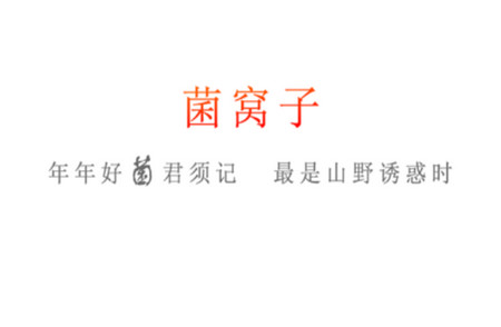 菌窝子2024最新版