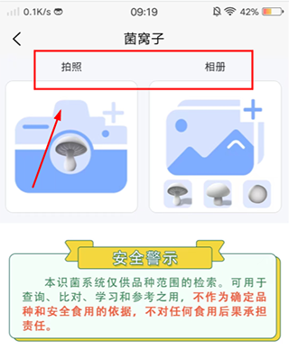 菌窝子2024最新版